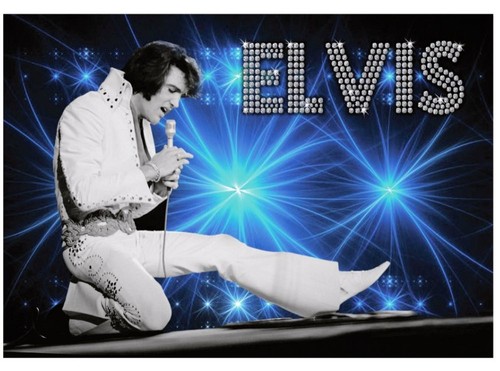 Elvis stage white - stage, jumpsuit