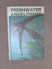 Freshwater Angelfishes