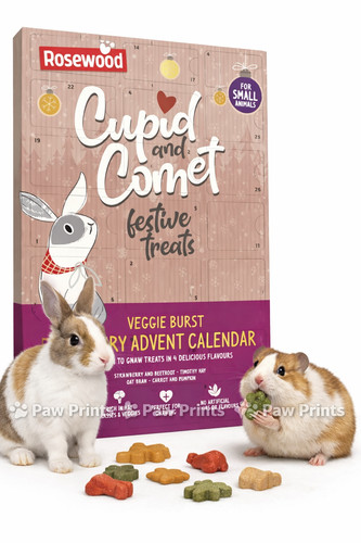 Rabbit hamster guinea - pig, rat