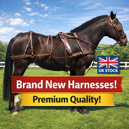 Windsor oily leather - windsor, harness