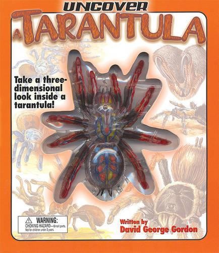 Uncover tarantula take a - uncover, tarantula: