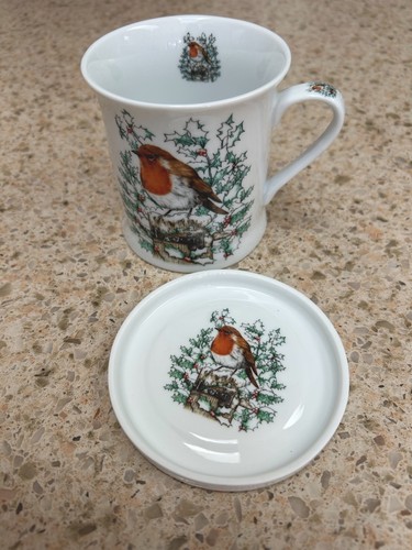 Christmas robin leonardo - christmas,