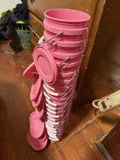 20-  pink Lowe’s Mini