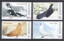 Moldova 2012 Birds, Doves, Pigeons 4 MNH stamps