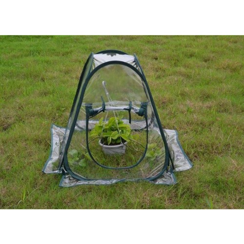 Pop cloche plant - cloche, cover