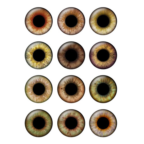 Pairs 14mm glass eyes chips - pairs,