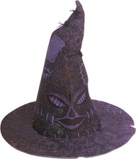 Harry Potter Sorting Hat Child