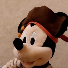 Disney Parks Mickey Mouse