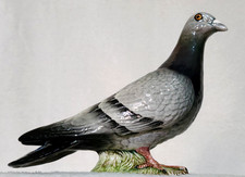 Beswick Racing Pigeon Beautifully Coloured Grey Gloss by Mr Orwell No. 1383