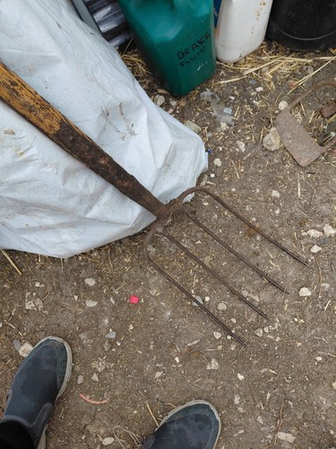 Vintage manure fork pitch - vintage,
