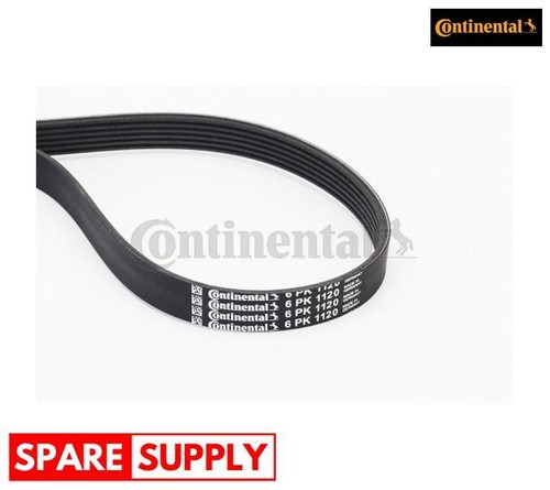 Ribbed belts for - a3, tt