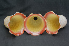 Vintage Tulip Shaped Glass