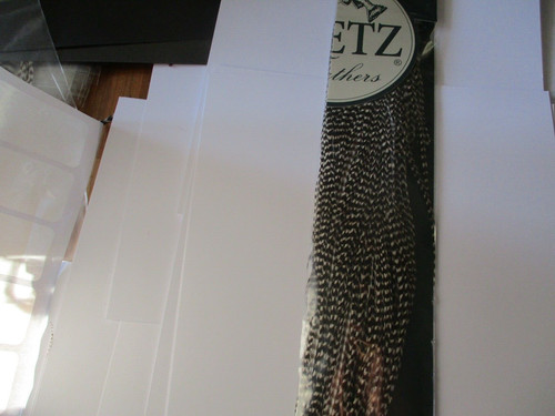 Metz saddle grade rooster - 2,