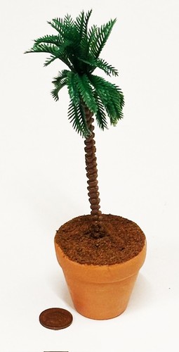 Dolls house large palm - tree, in