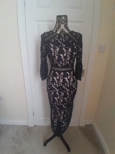 Coast navy lace dress back - navy,