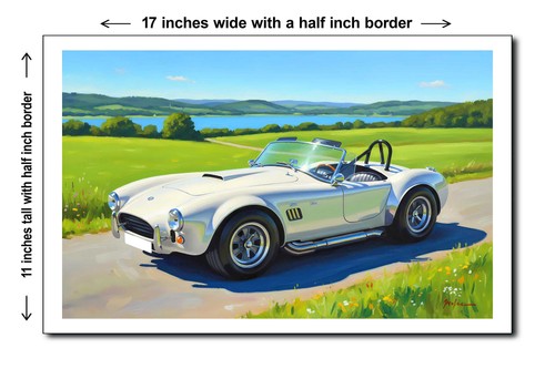 1965 shelby cobra - shelby,