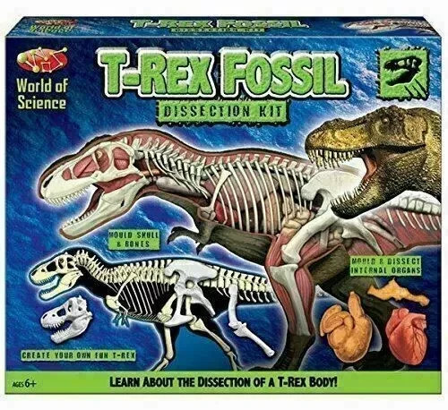 Rex fossil dissection world - t-rex,