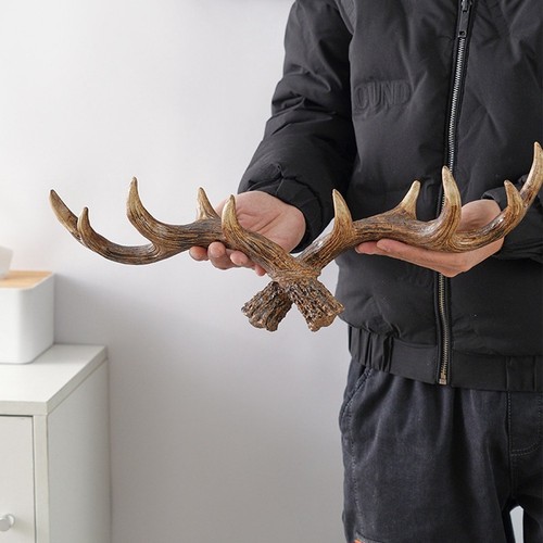 Vintage deer antlers - deer,