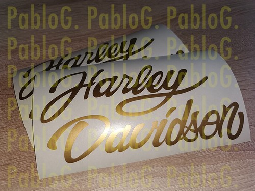 Harley davidson fuel - davidson,