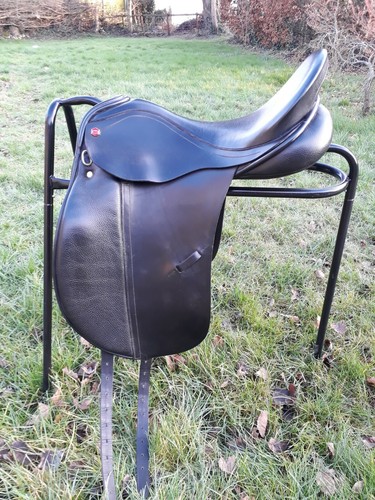 Albion genesis adjustable - albion,