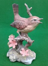 ROYAL OSBORNE WREN ON BRANCH.