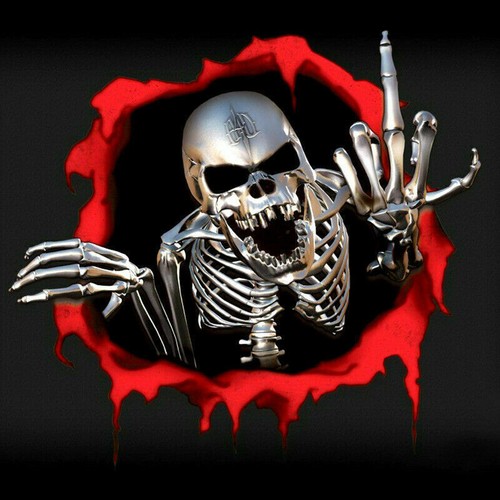 1pc metal skeleton skull - skeleton,