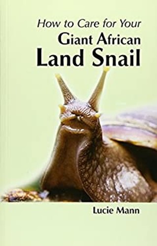 Your first giant african - giant, land