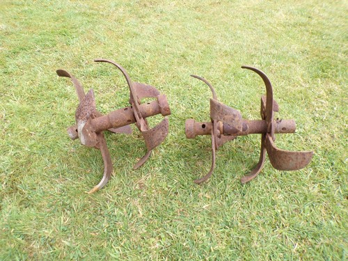 Wolseley merry tiller - merry,