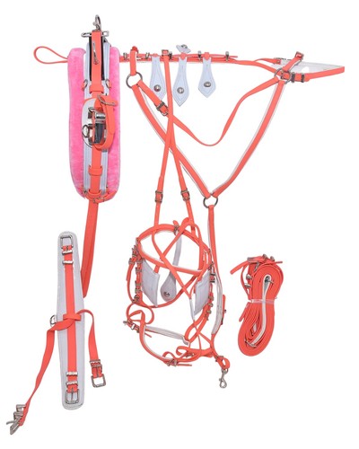 Pvc quick hitch trotting - hitch,