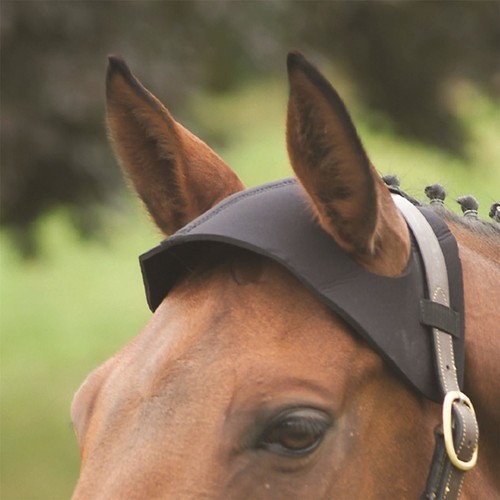 Poll guard black - poll,