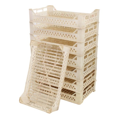 Used potato chitting trays - trays, /