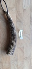 PRIEST. HIGHLAND STAG HORN
