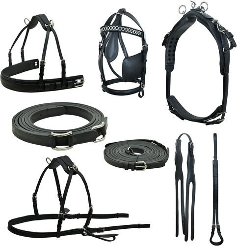Sie premium leather - leather, horse