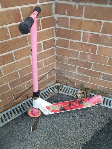 Bug pink push scooter - bug,
