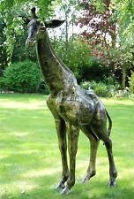 Stunning Life-Size Giraffe Garden Sculpture - Cast Aluminium Outdoor Ornament