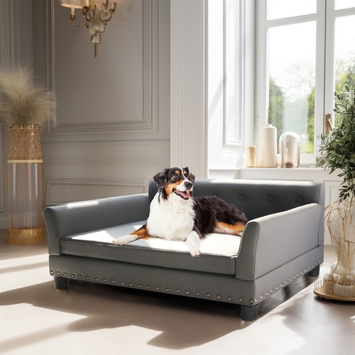 Bingopaw large elevated dog - bingopaw,