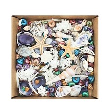 Tiny Mixed Craft Seashells