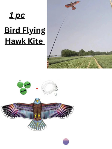 Anti bird flying hawk - anti, kite