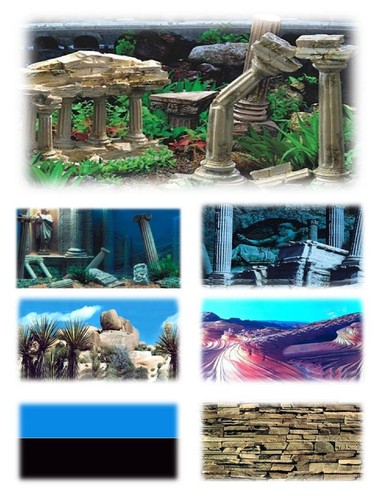 Aquarium fish tank - fish, vivarium