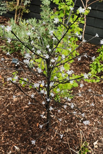 Solar blossom tree light - solar,