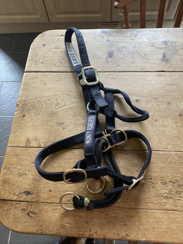 Monty roberts dually - monty,