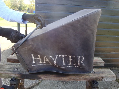 Rare early hayter harrier - early,
