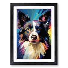 Border Collie Op No.2 Framed