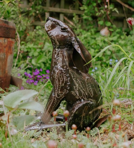 Moon gazing hare - hare, garden