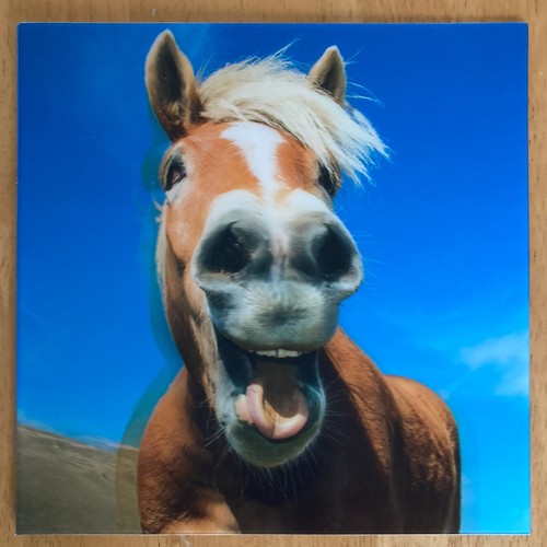 Horse holographic carte - 'horse’, 3d