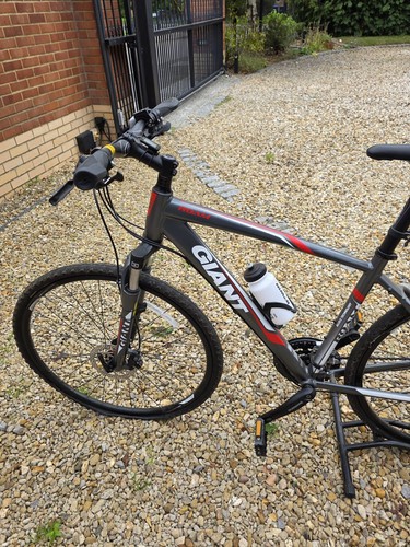 Giant roam medium - giant, 1