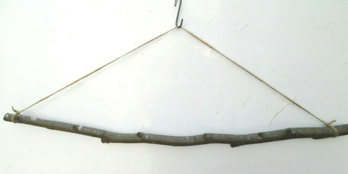 115cm beech natural tree - beech,