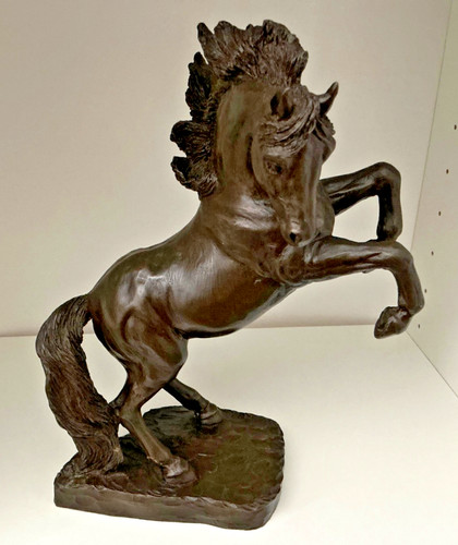 Heredities the chamargue pony - the,