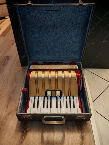 Accordion hohner student - accordion,