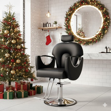 Professional Barber Chair
